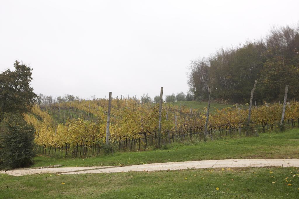 Agriturismo Marani Arcugnano Bagian luar foto